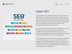 Détails : Expert SEO - Conseil en référencement