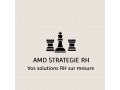 Détails : AMD STRATEGIE RH