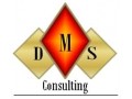 Détails : DMS Consulting