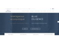 Détails : Intelligence Economique à Paris - Blue Diligence